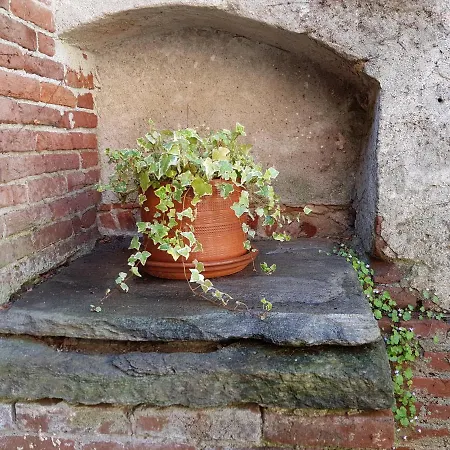 アパート Un Pezzo Di Cielo Nel Giardino